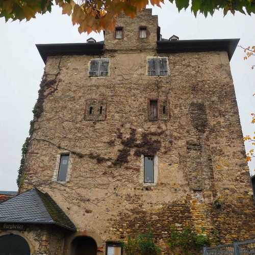 Hattenheimer Burg, Hattenheim